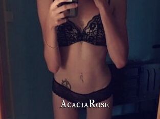 AcaciaRose