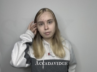 Accadavidge