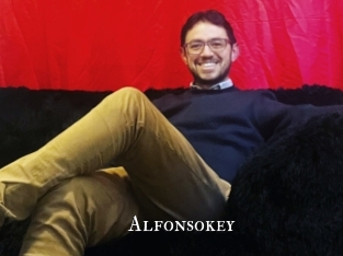 alfonsokey cams