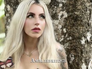Ameliebriidge