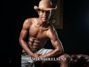 Amirmickelsens