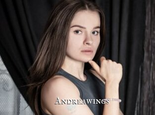 andreawings cams