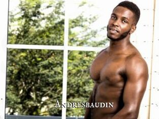 Andresbaudin