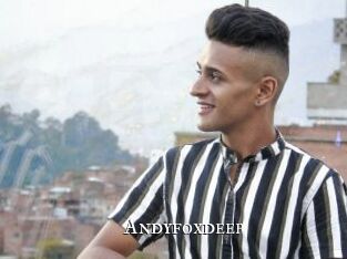 andyfoxdeep cams