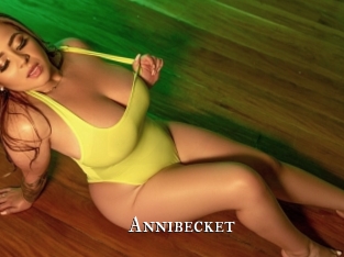 Annibecket