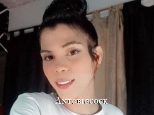 Antobigcock