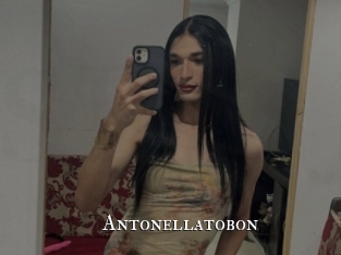 antonellatobon cams
