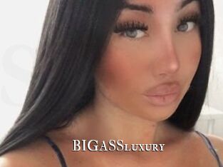 BIGASSluxury cams