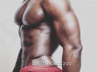BigSnack42300
