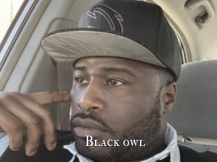 Black_owl