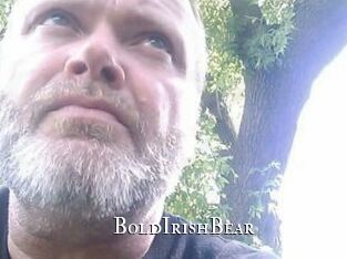 BoldIrishBear