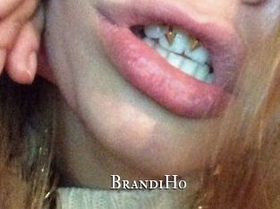 BrandiHo