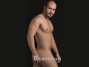 Bigboyadam