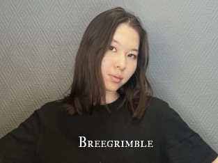 breegrimble cams