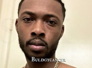 Buldgycancer