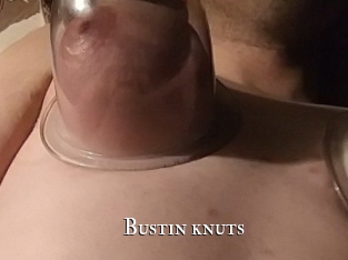 Bustin_knuts