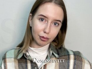 dominoevitt cams