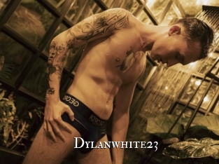 Dylanwhite23