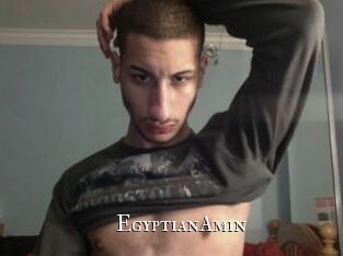 EgyptianAmin