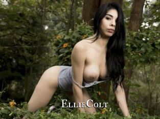 EllieColt