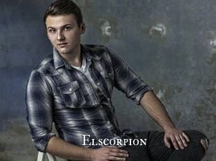 Elscorpion
