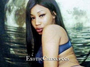 ExoticChinky_cca