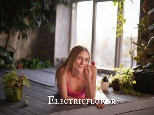 Electricflower