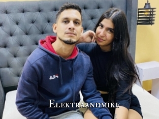 Elektraandmike