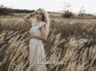 Elizamool