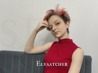 Elvaatcher