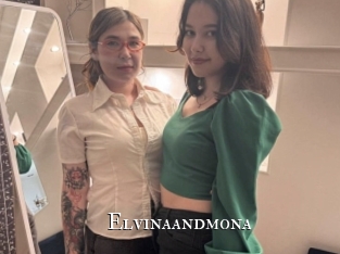 Elvinaandmona