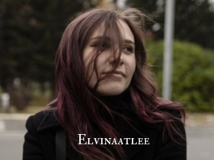 Elvinaatlee