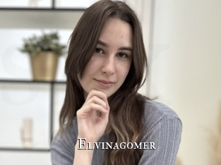 Elvinagomer