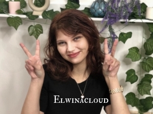 Elwinacloud