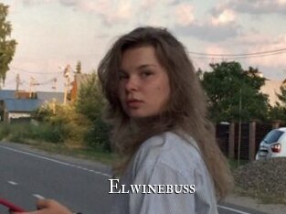 Elwinebuss