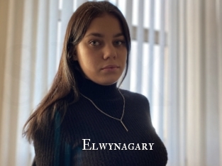 Elwynagary