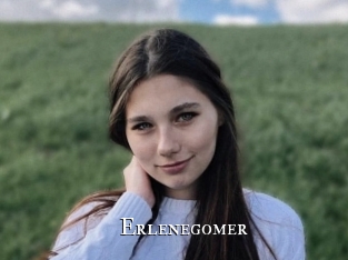 Erlenegomer