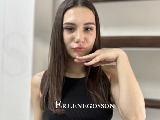 Erlenegosson