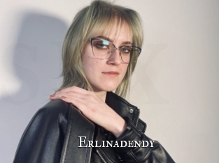 Erlinadendy