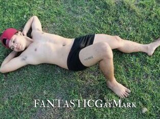 FANTASTICGayMark