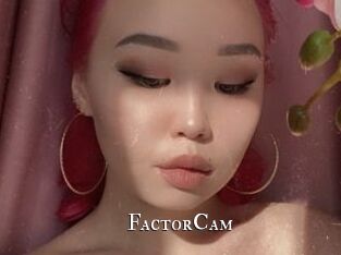 FactorCam