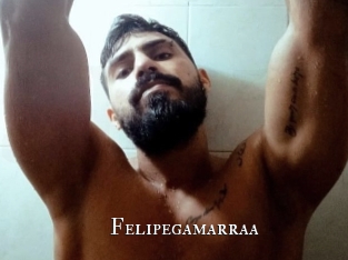 Felipegamarraa