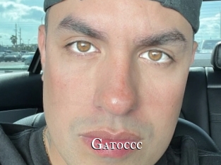 Gatoccc