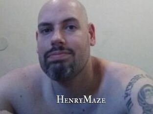 Henry_Maze cams