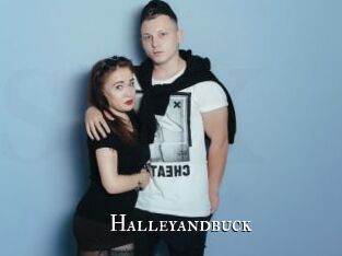 Halleyandbuck