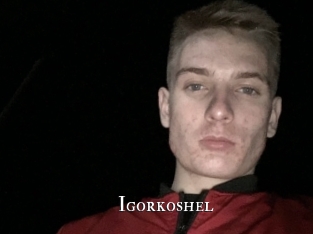 Igorkoshel