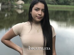 Imcataleya