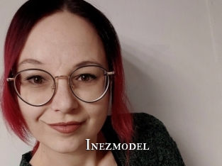 Inezmodel