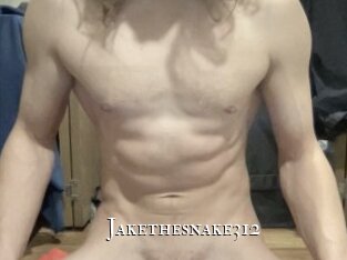 Jakethesnake312