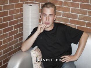 Kanesteep